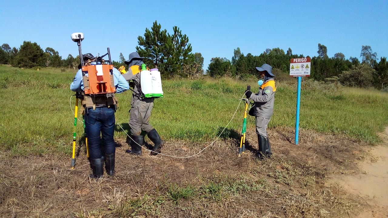 WhatsApp Image 2021-03-23 at 08.42.02.jpeg